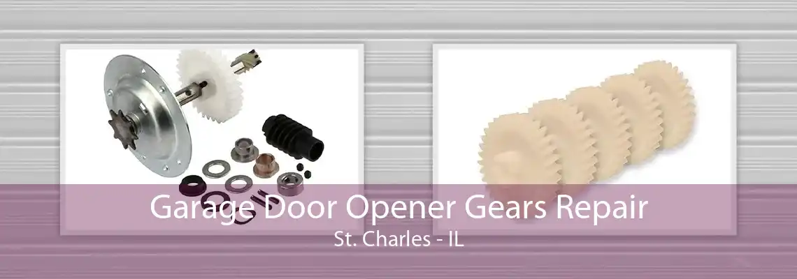 Garage Door Opener Gears Repair St. Charles - IL