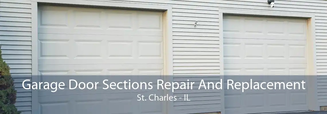 Garage Door Sections Repair And Replacement St. Charles - IL