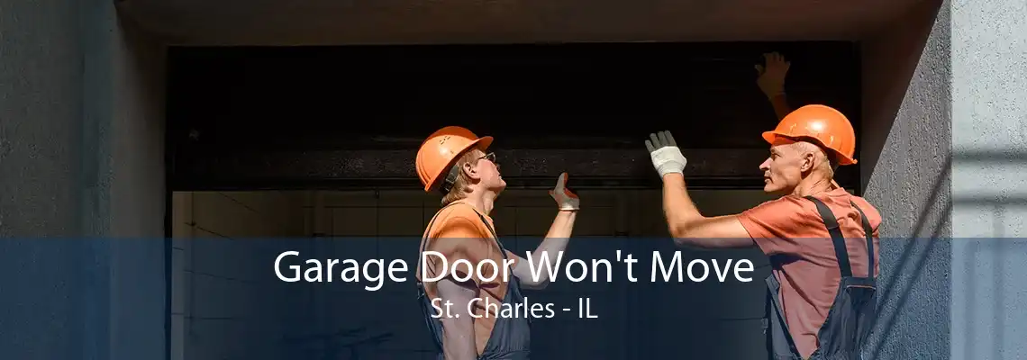 Garage Door Won't Move St. Charles - IL